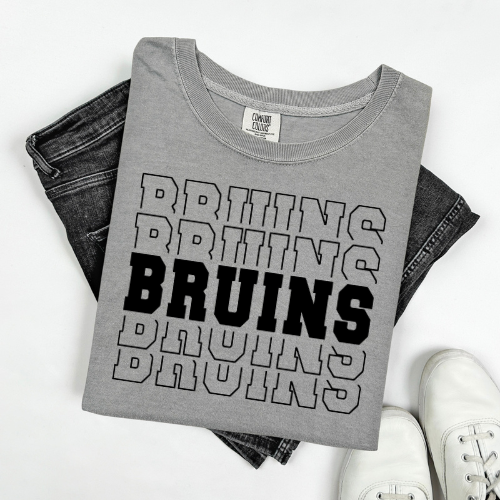 Bruins Varsity Stack