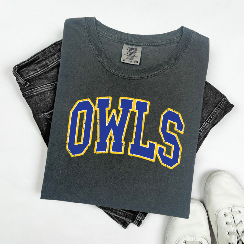 Varsity Owls